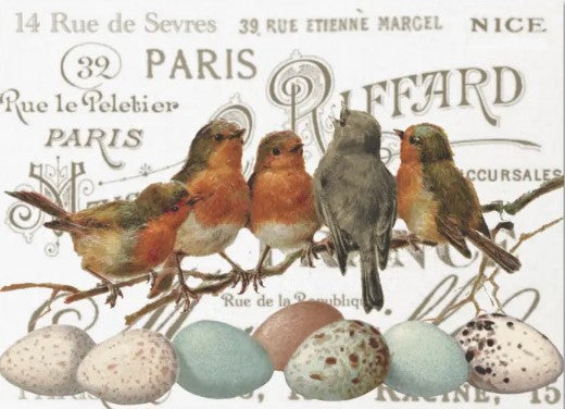 Birds and Eggs Vintage French City Names Decoupage Tissue Paper